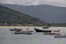 Armação do Pântano do Sul