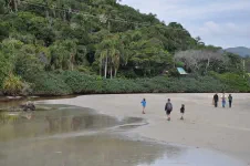 Armação do Pântano do Sul