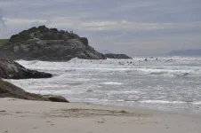 Armação do Pântano do Sul