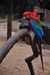 Visite du Parque da aves