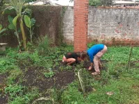 Nahuel et Sofia désherbent le potager