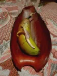 Fleur de banane