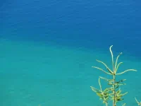 Quelques nuances de bleu...