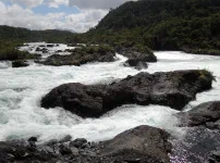 Saltos de Petrohue