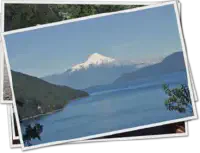 Featured image of post Un Noël dans les araucarias