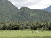 entre le lago Colico et lago Carbugua