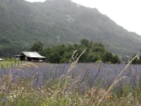 en arrivant à Curarrehue
