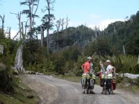 Une partie de la forêt a brûlé (photo <a href="http://larevanchedescigales.org/" target="_blank">Maud Bailly</a>)