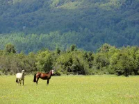 sur la route