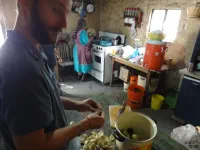 épluchage des tomates vertes